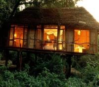 treehouse